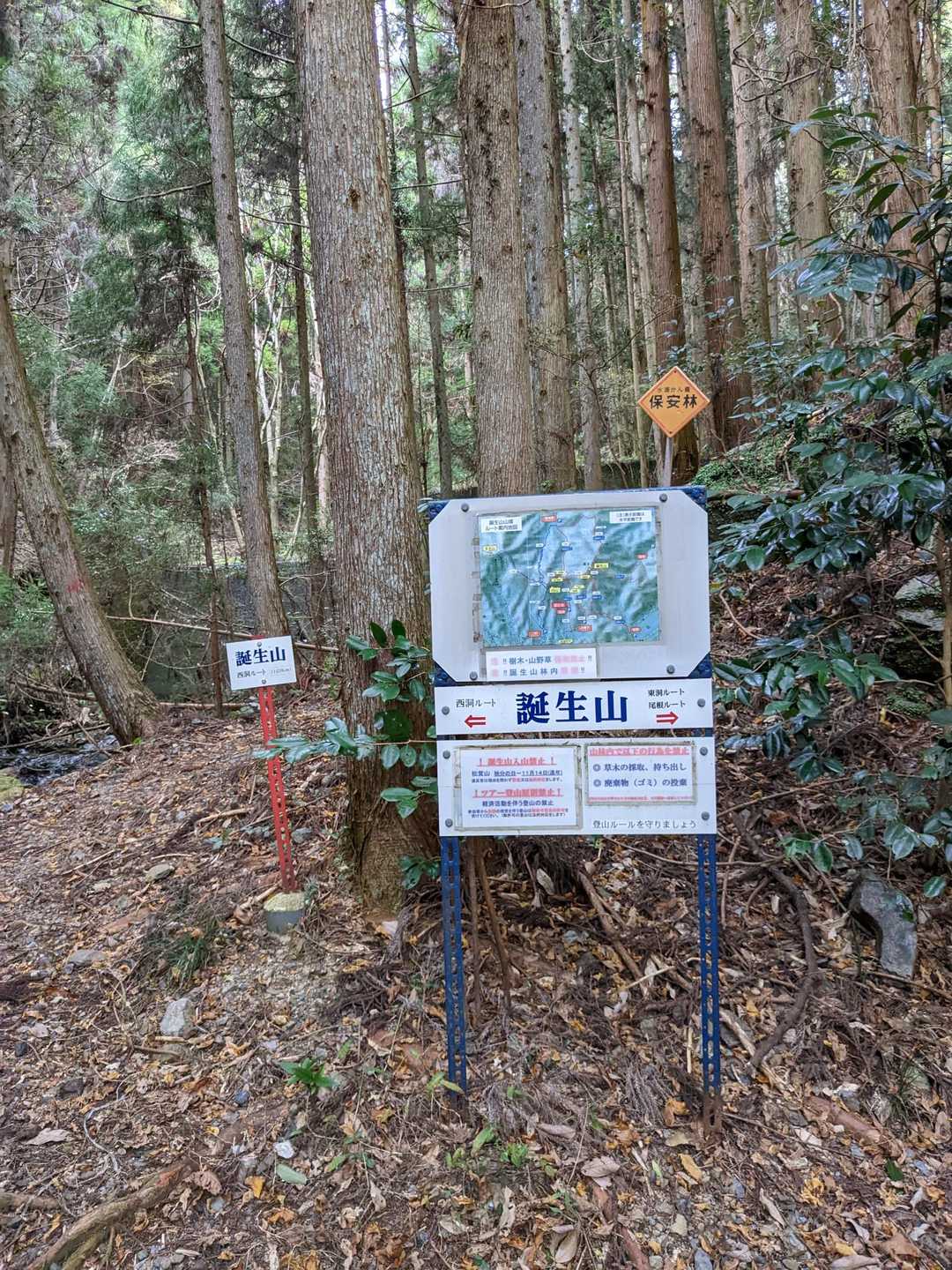 誕生山 周回コースの写真