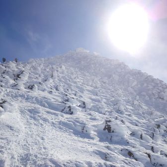 最後の登り
絶賛エビ祭り🦐