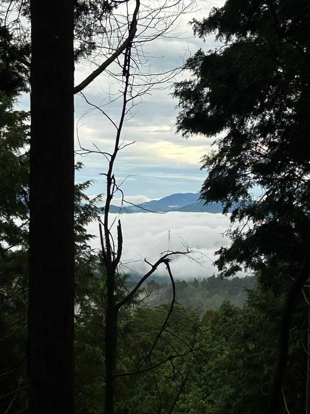 展望はあまりないけど、隙間から雲海😊