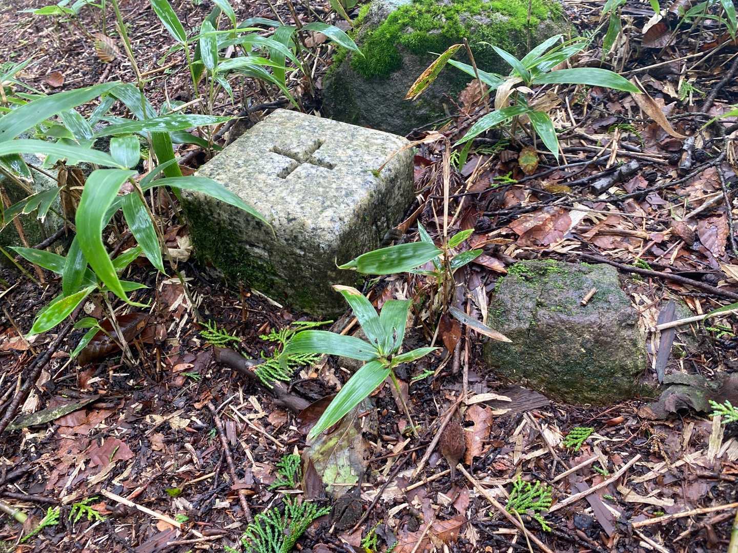 四等三角点(1201.47△白猪)です。
白猪山⑨の山頂ですが、山頂標識は見当たりませんでした。

三角点がなかったら、スルーしてしまったかも？😅