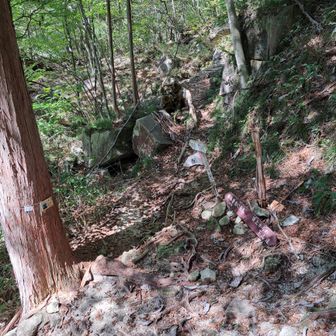 周回おわり～

ここの下山は、ほんと危ない場所が長かった⚠️
段差と階段だけなんやけど🕺🪜