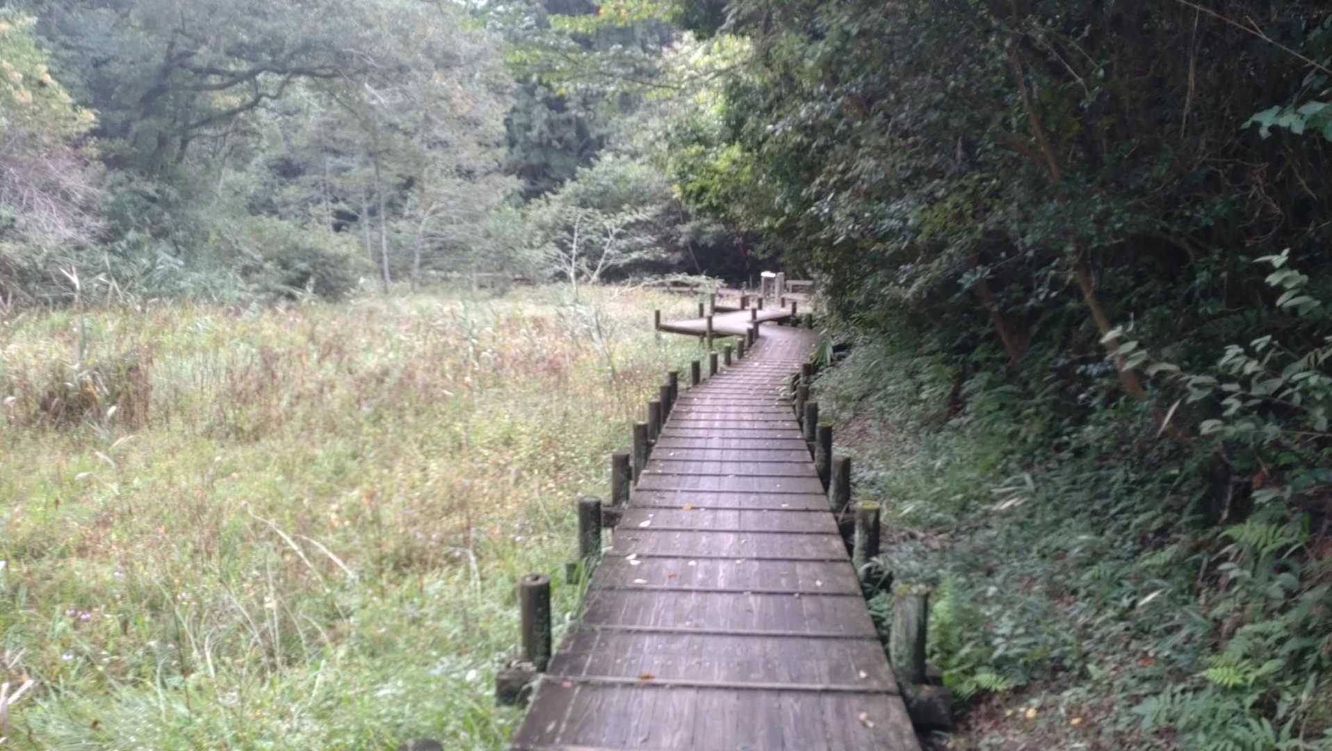 ボードウォーク