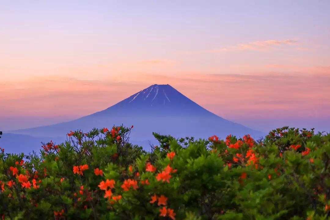 駐車場からわずか15分！富士山と雲海の絶景を楽しむ甘利山
山歩コースの写真