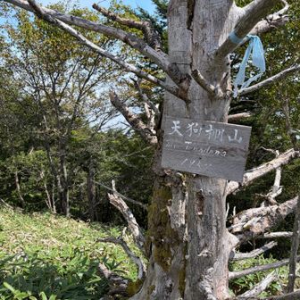 天狗棚山まで来てみました