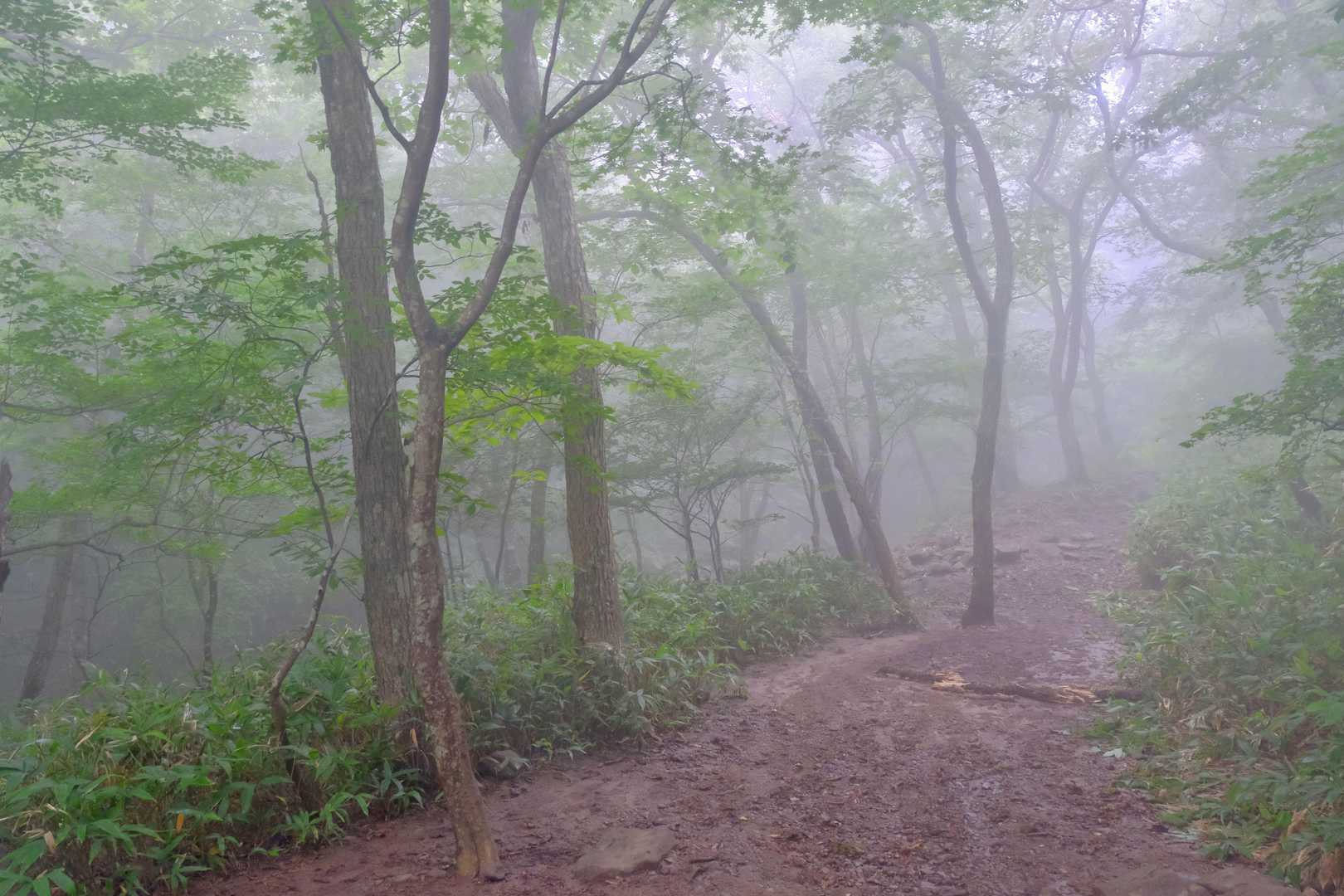 水神は幻想的な雰囲気に。