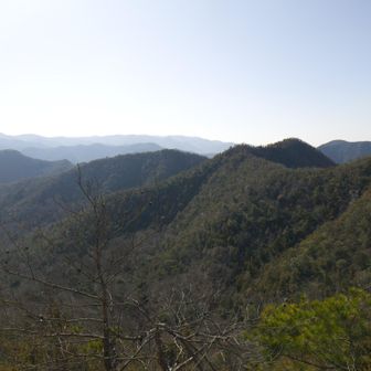 歩いた道を振り返る