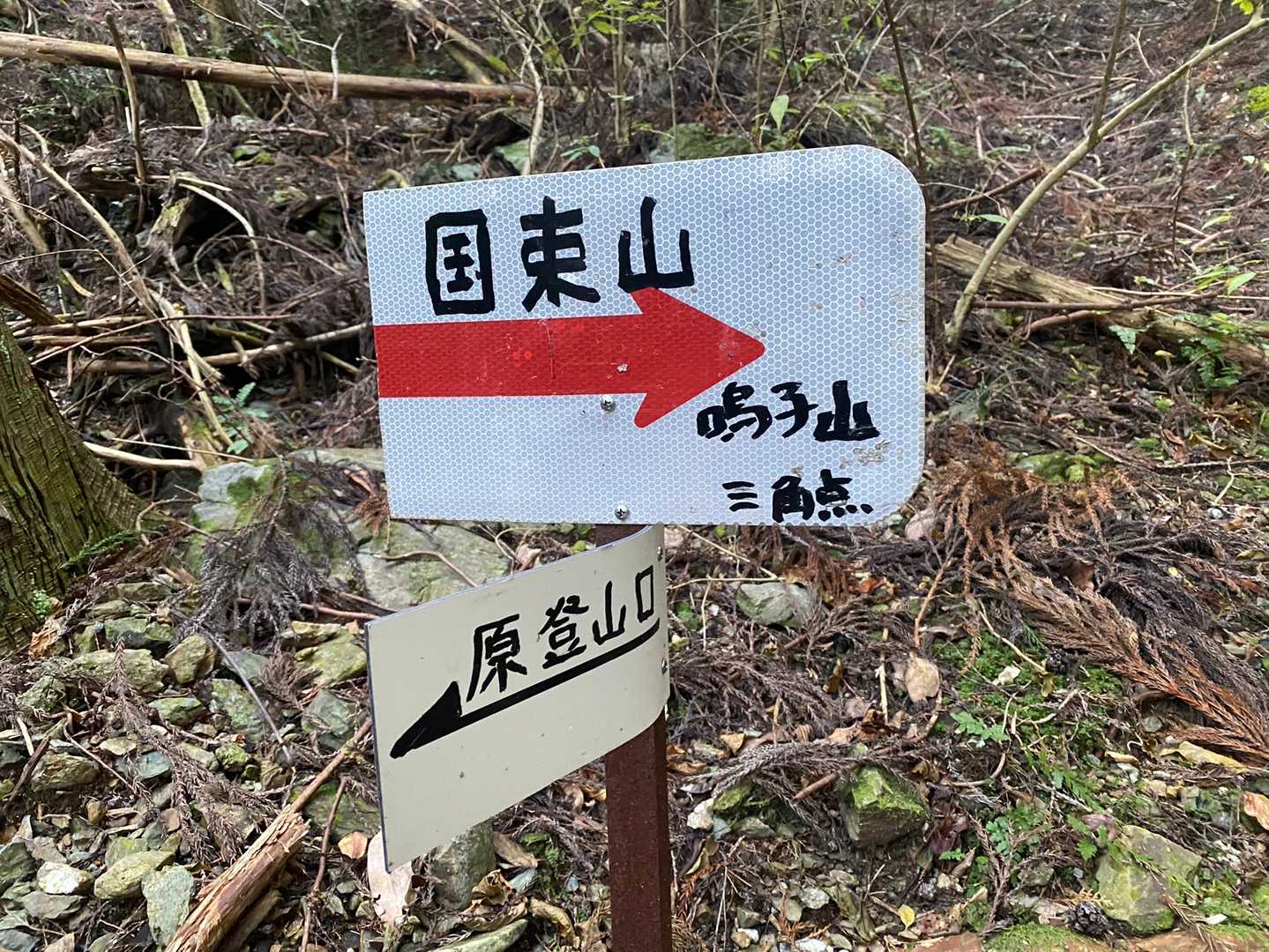 国束山 往復コースの写真