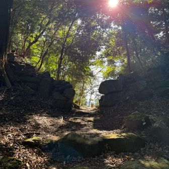 だんだん、時間がなくなってくる💦