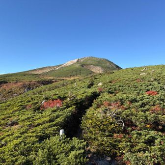白山に行きたいけど我慢😅
15:30折り返しと決めてたので。