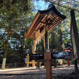 浄心門を左へ1号路を下る。右奥へ進むと薬王院。
