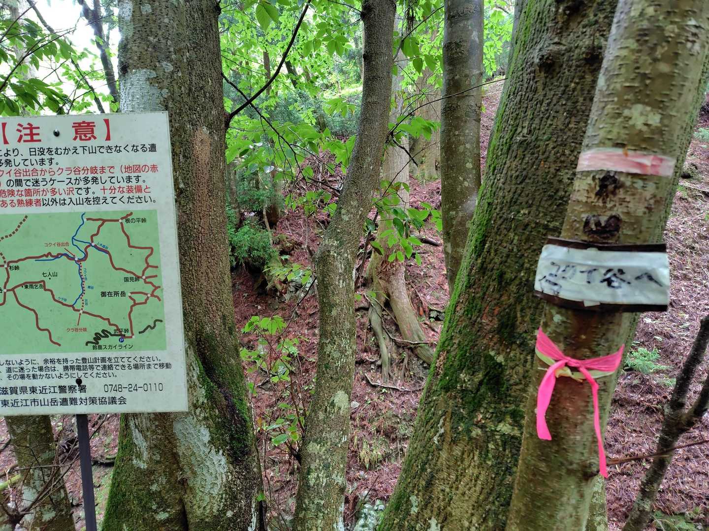 ④番　クラ谷分岐　前回コクイ谷出合いまで行こうとしたけど、時間かかりすぎて撤退。今日はもちろん行かず。
