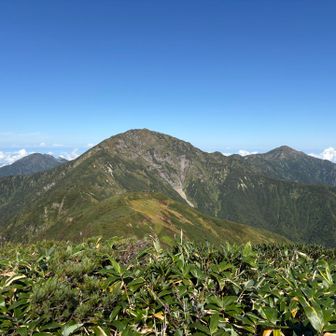 ※兎岳より越後三山(八海山、中ノ岳、越後駒ヶ岳)。