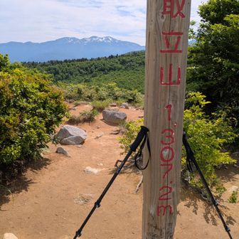 ✌️取立山山頂！