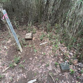 笹平
山頂標は見当たらず
