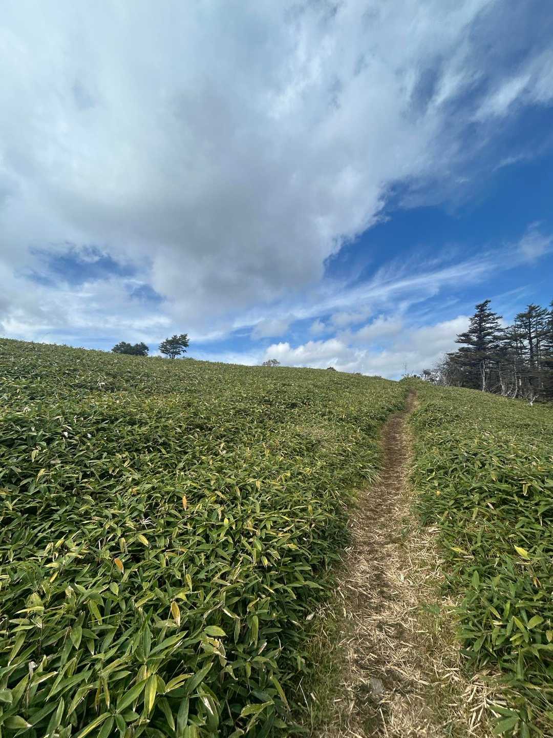 三峰登山口-三峰山-和田山北峰 周回コースの写真