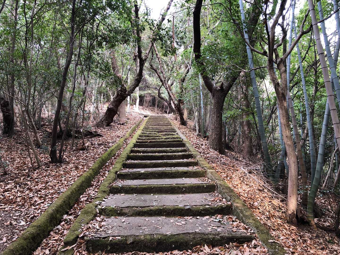 岩滝山へ