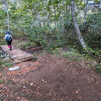 丸森川を渡る橋。晴れていれば気持ちの良い森の小径です