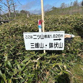 二ツ山⛰️山頂です