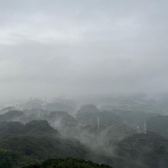 汗が、滝のように流れ落ちて。

湿度も高い……。