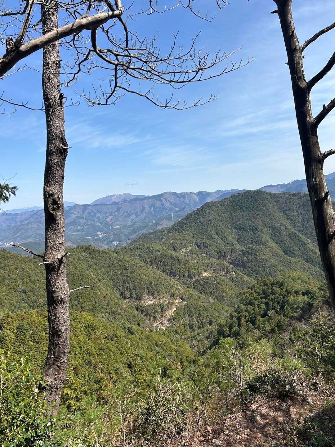高取山-八ッ尾山 周回コースの写真