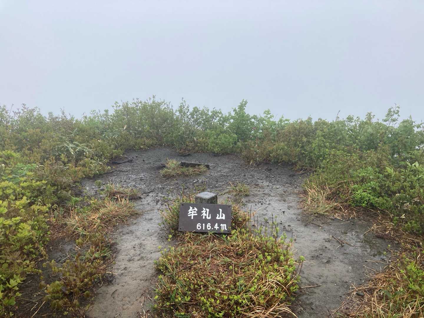 山頂は景色なく
雨と風🌪️☂️のみ
到着するや引き返しました