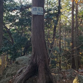 10座目、ラストピークの坊主山