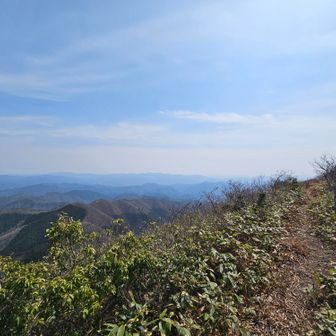 晴れてればなぁ。