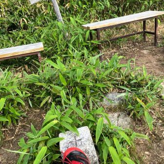 久しぶりに三角点で一枚