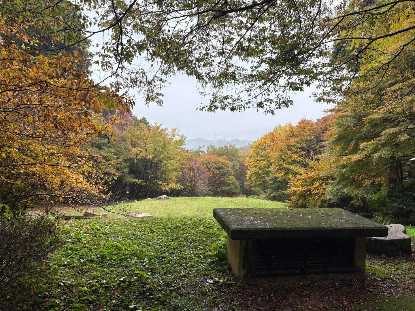 岩湧寺-いわわきの道・きゅうざかの道入口-岩湧山 周回コースの写真