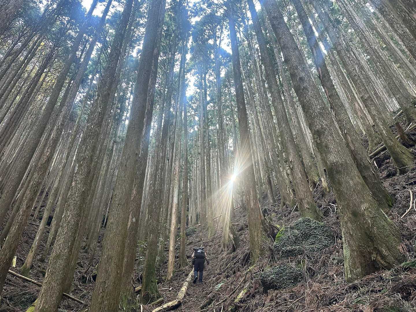 前情報は
【最後ちょっと岩登って♡侮ったらあかんとこ】

以上🤣