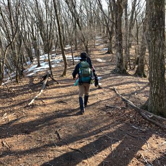 にんにくよろい