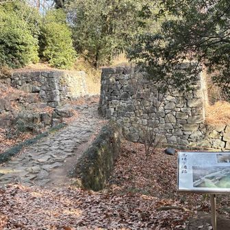 最近はアス道ばかりだったから
上の道へ