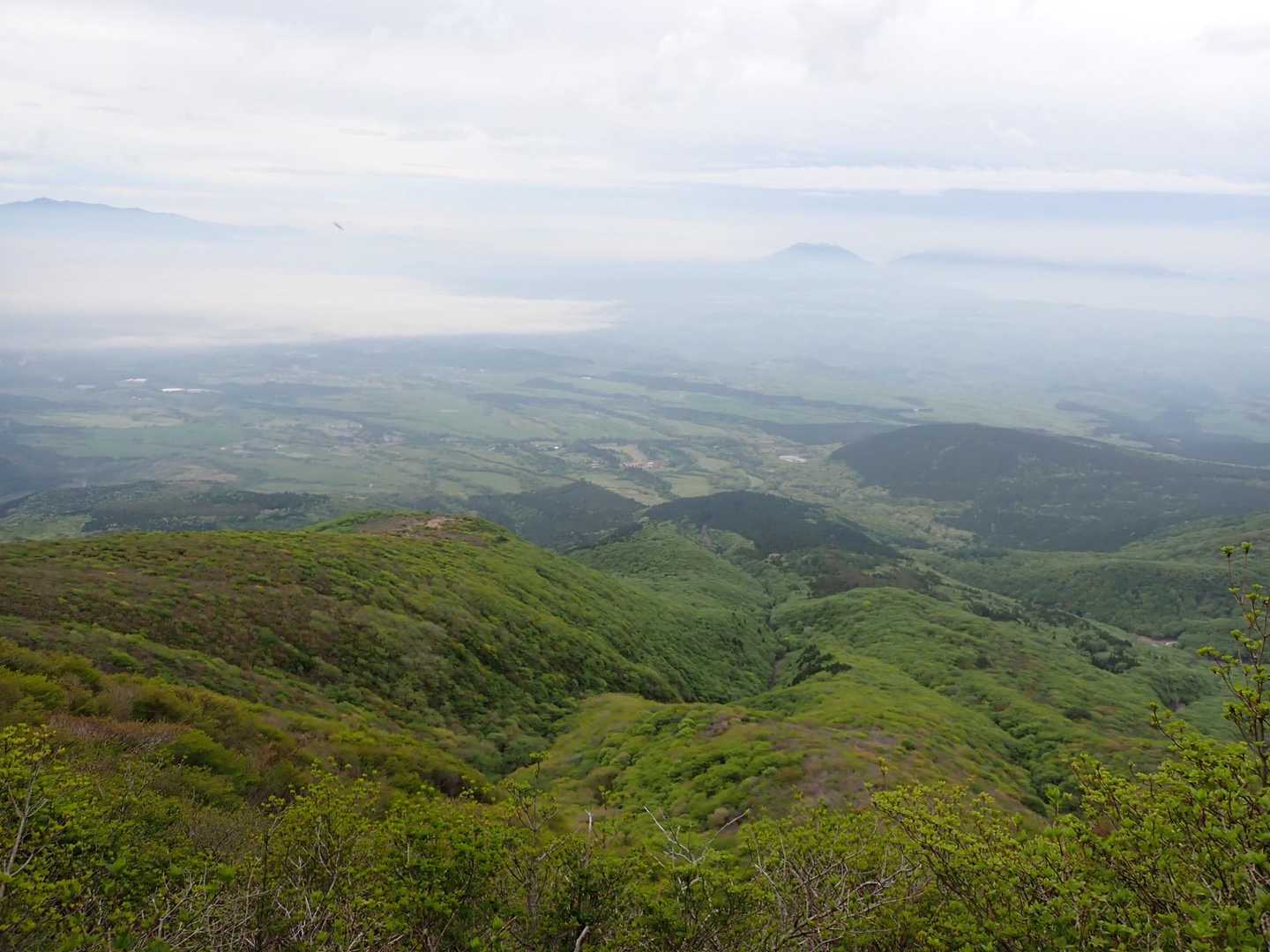 赤川登山口-久住山-中岳-稲星山 往復コースの写真