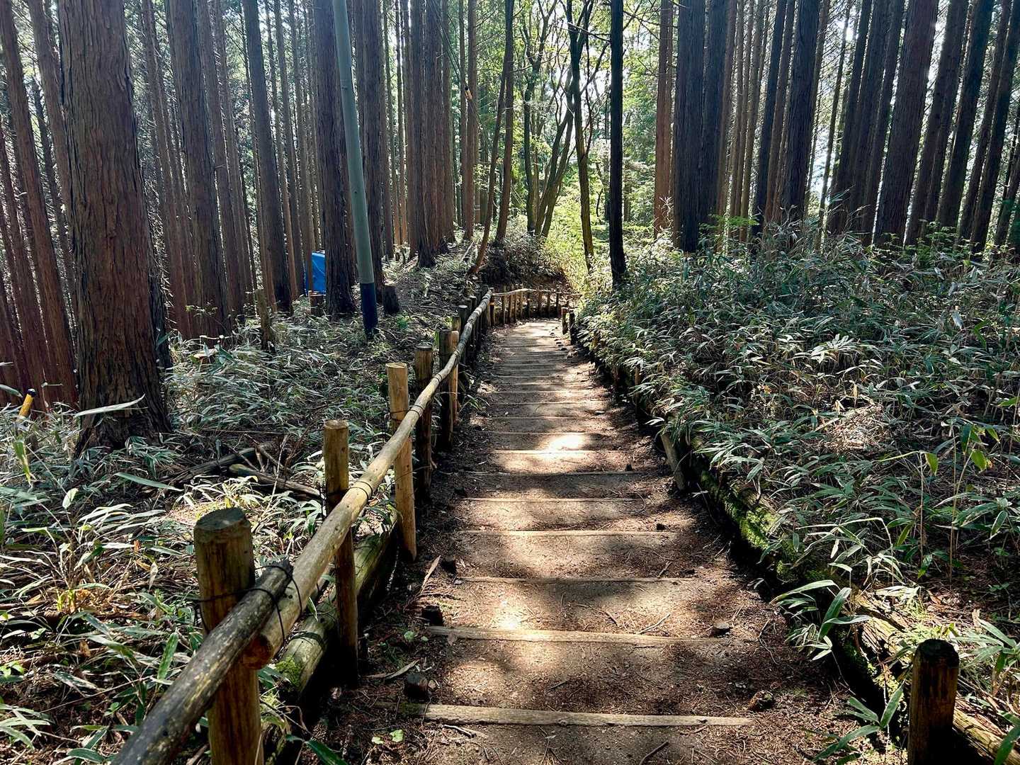 階段が延々と続いて膝が辛いけど、