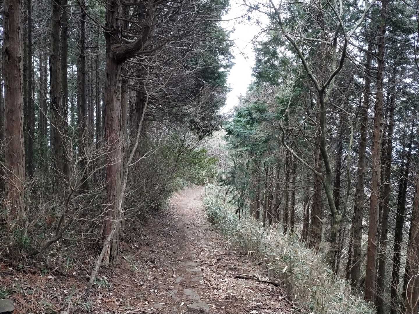 下っていくので雪は無くなりました。