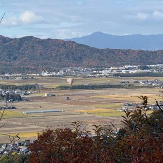 あっ、下りた！