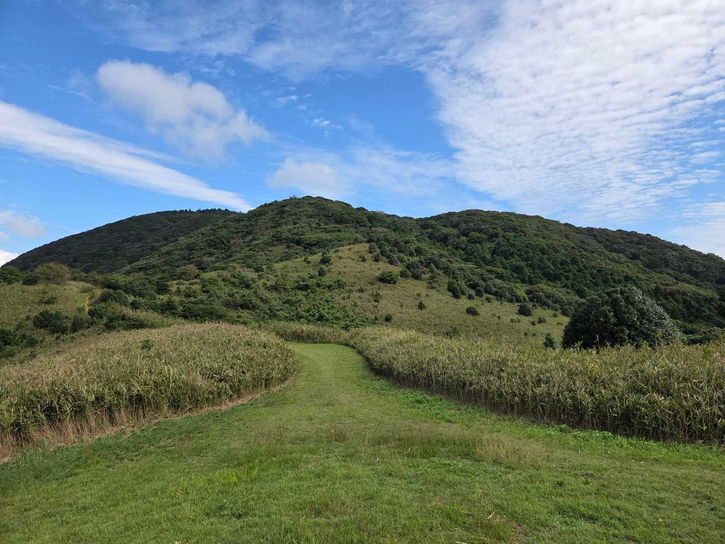 でわ戸ノ上山へ🚶‍♂️