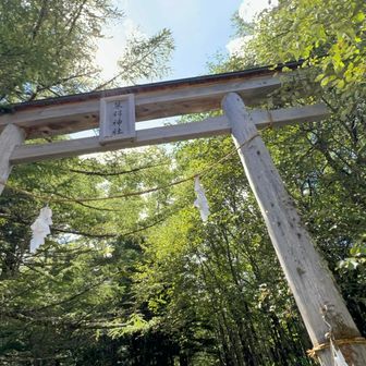 七合目に帰還。