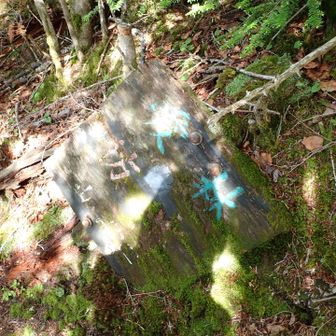 先に進むと看板が落ちてた。「愛林」「防火」と書いてあるようです。「愛林」という言葉は初めて聞くなあ
