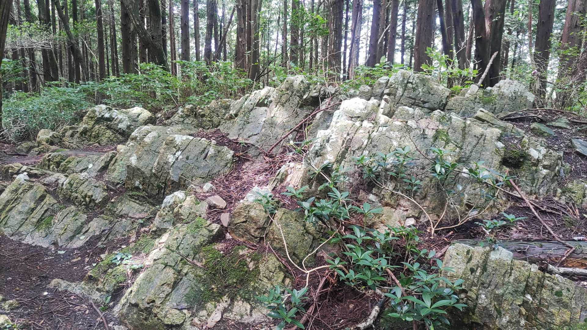 ゴツゴツした岩場