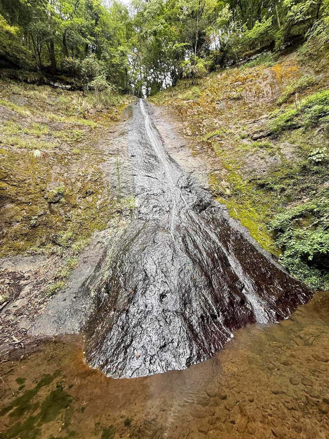 権現山 往復コースの写真