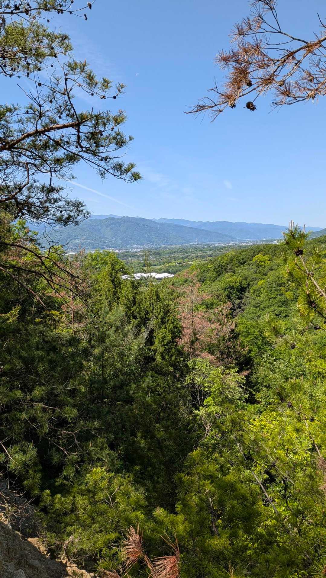 高歩頂山-波濤嶽 往復コースの写真