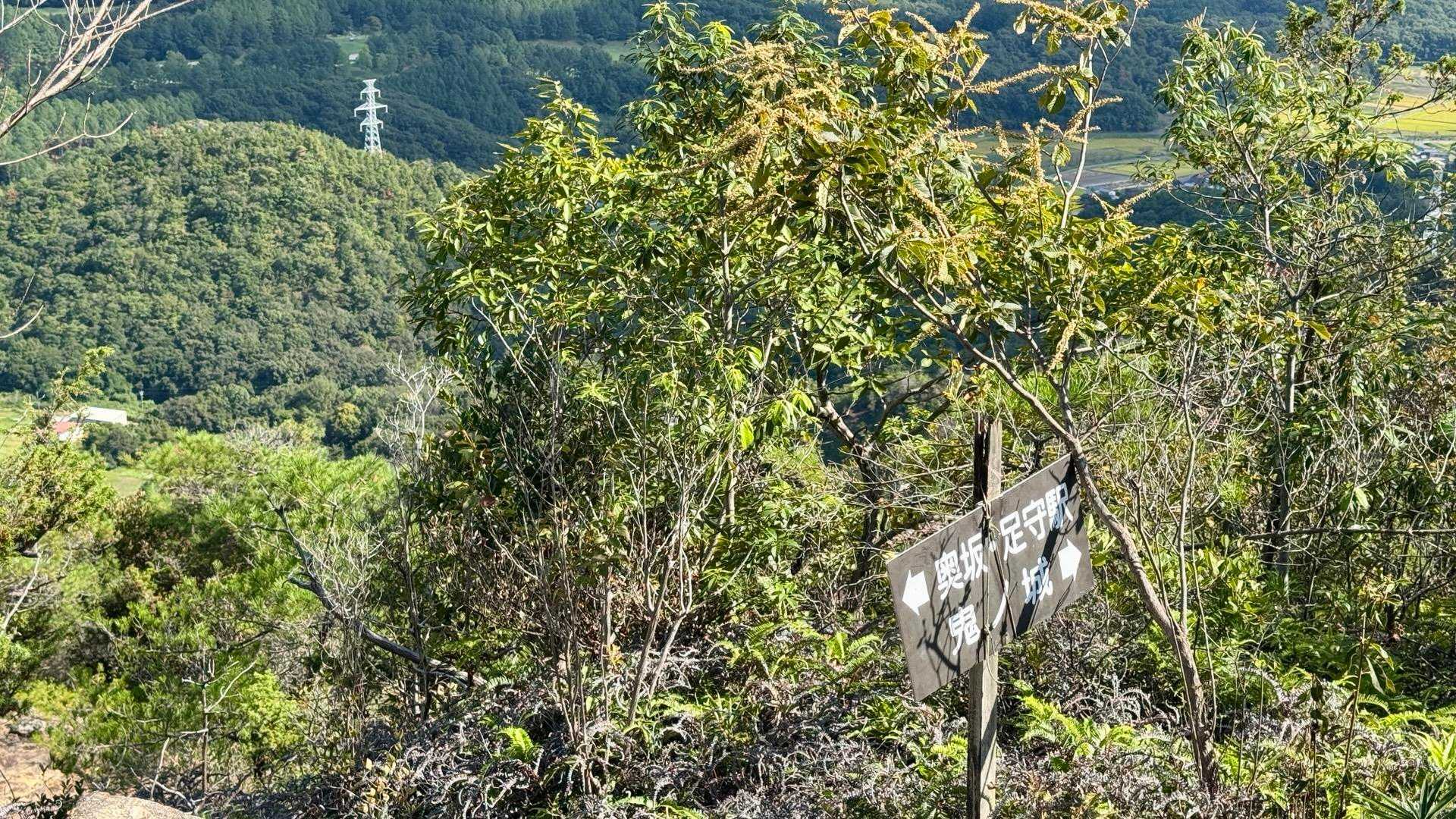 鬼城山-高石垣 往復コースの写真