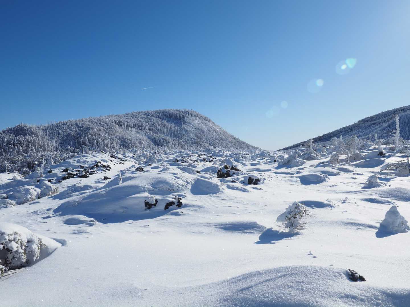 北八ヶ岳登山口-山頂駅-坪庭-北横岳 往復コースの写真