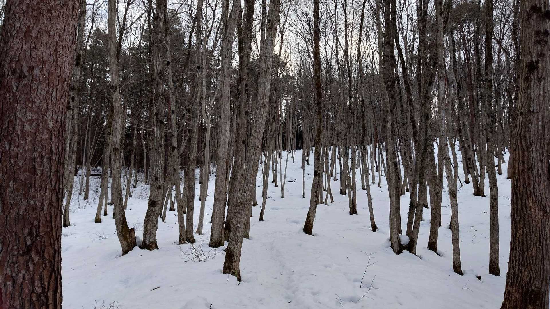 おはようございます✨

「久しぶりに山行く？」
「行く」

とのことで、次女とお出かけ
当初は西会津のお山登ろうと
考えてましたが
もう少しドライブ
がしたいということで会津若松へ