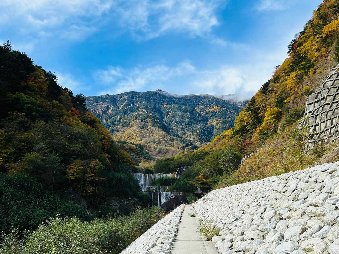 周りの紅葉が綺麗