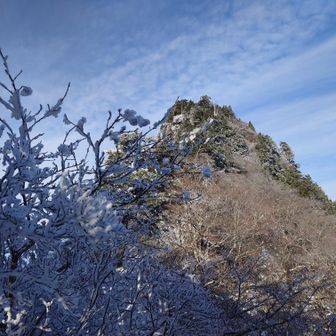 楽しみながら❄