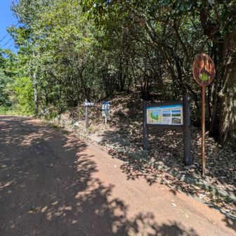 升田山登山口💪
今日初の山登り😅