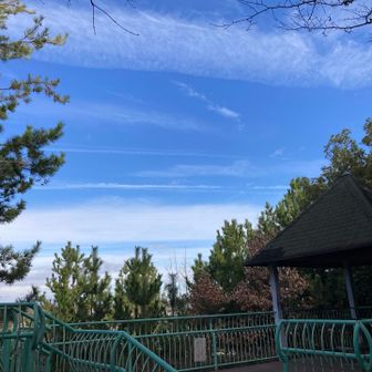 稲葉山山頂（標高50m）