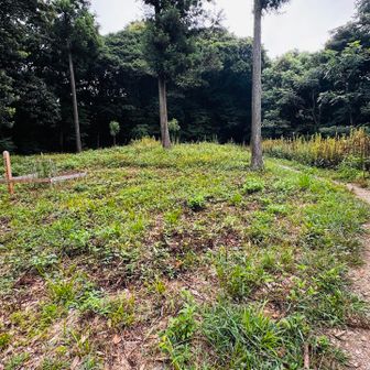 草刈り、ありがとうございます。